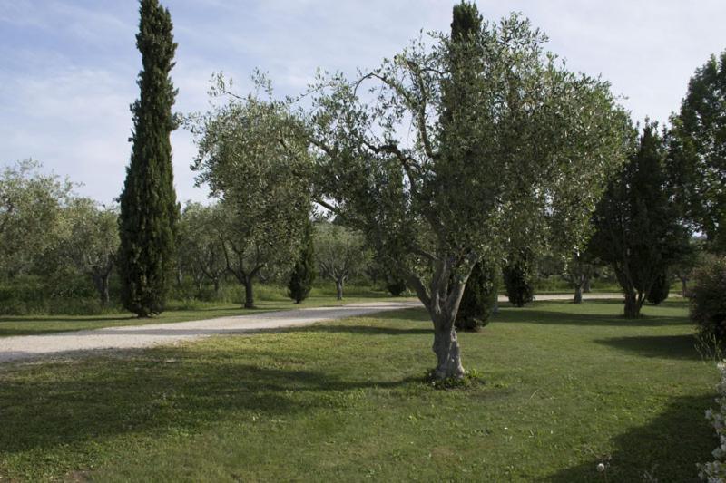 Agriturismo Scuderie Della Contea Sutri Exteriér fotografie